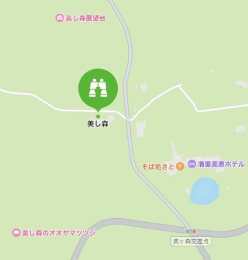 【急募】赤岳(美し森から真教寺尾根→山頂→県界尾根)参考画像:1