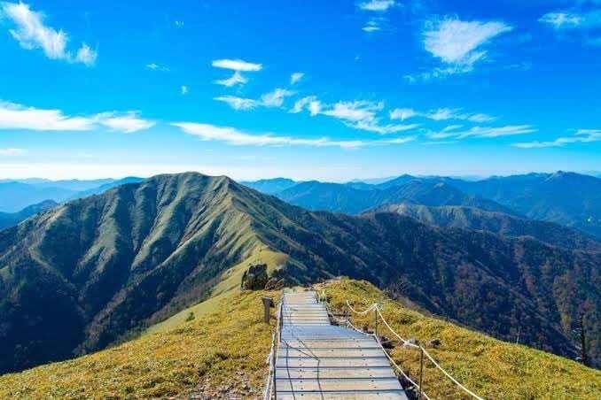 紅葉するかも剣山に行きませんか？参考画像:0