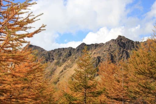 秋の黒斑山ハイキング