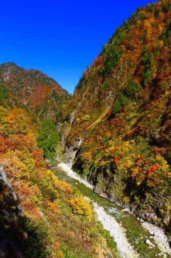 10/28〜29 下の廊下&水平歩道🍁【27(金)夜発】