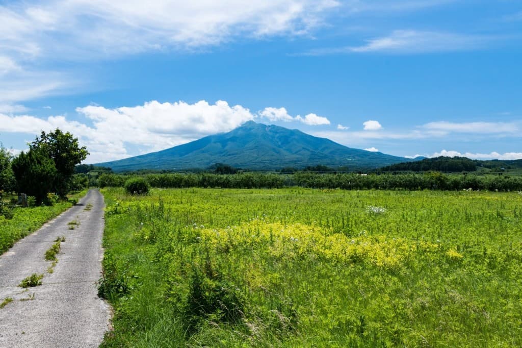 10/14(土)八甲田山と10/15(日)岩木山【青森県】参考画像:0