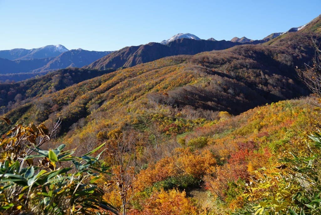 【横浜発】10/15〜16中ノ岳・丹後山周回　荒天中止参考画像:2