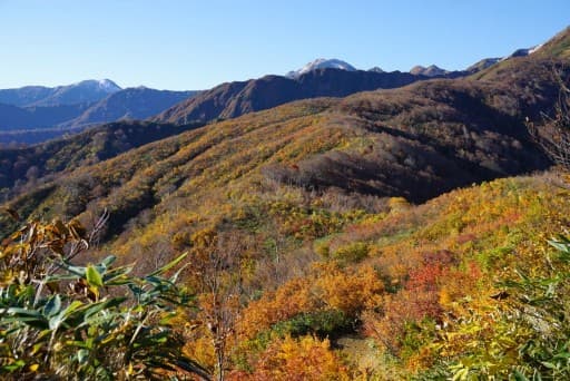 【横浜発】10/15〜16中ノ岳・丹後山周回　荒天中止参考画像:2