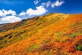10/6夜発〜8、栗駒山・焼石岳参考画像:0