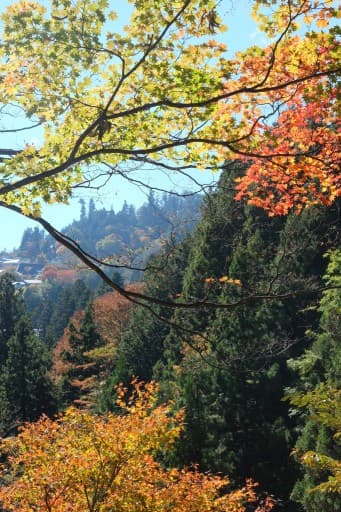 【医療従事者限定企画】秋の奥多摩 三頭山～槇寄山～数馬の湯♨参考画像:1
