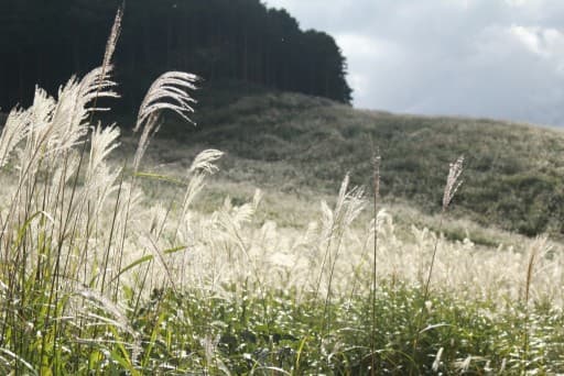 【医療従事者限定企画】秋の奥多摩 三頭山～槇寄山～数馬の湯♨参考画像:2