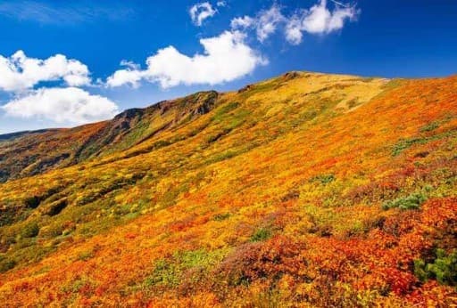 【天候不良のため中止】10/7〜9 東北紅葉巡り
