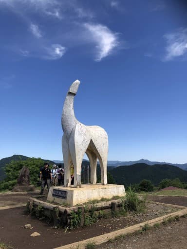10/14(土)陣馬山〜高尾山