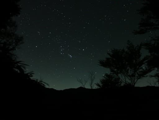 富士見台高原で星空観察