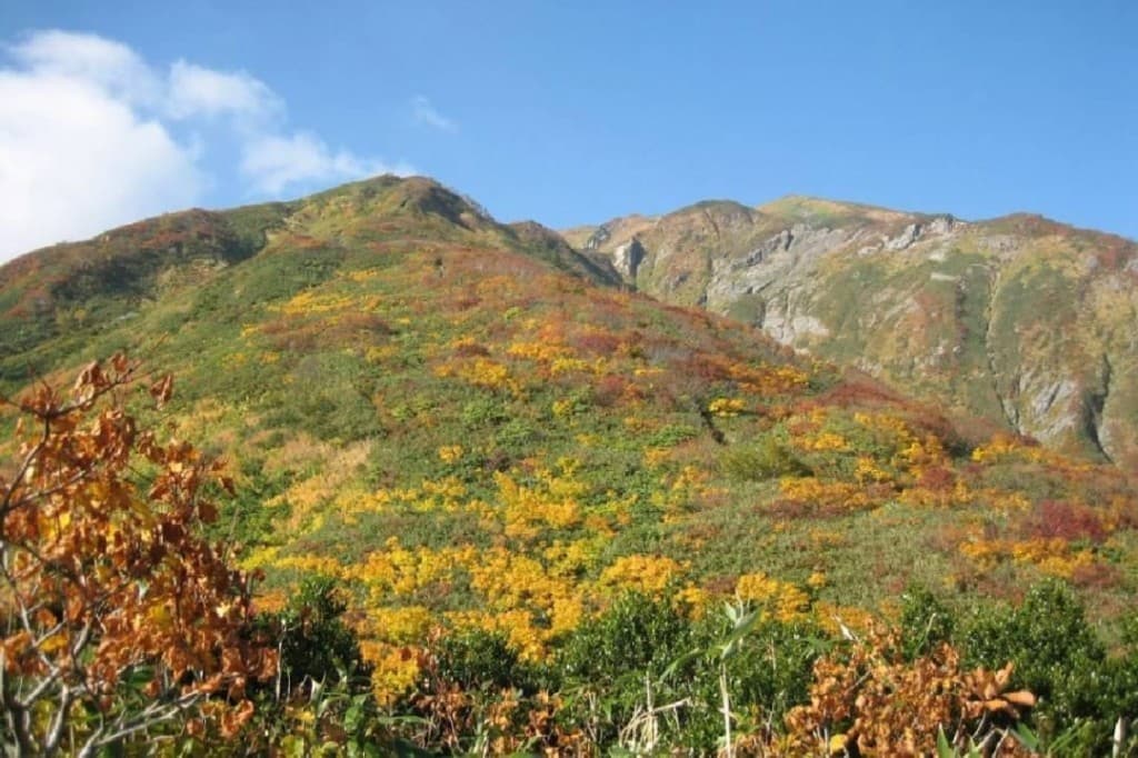 11月3日(金)越後駒ヶ岳参考画像:0