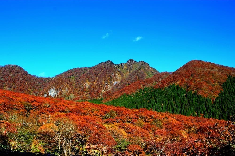 【あと２名】10/28-29　紅葉登山　横谷峡・御射鹿池『蓼科山』参考画像:0