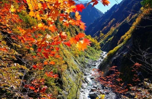 10/29〜30 紅葉 下の廊下・阿曽原温泉