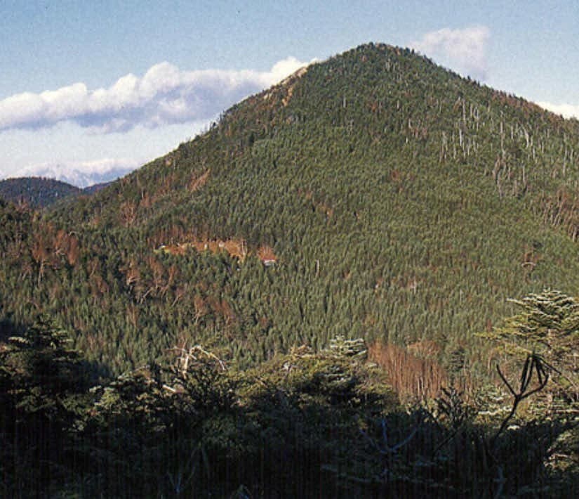 【満員御礼】甲武信ヶ岳🍁毛木平発着🍁時計回り【キャンセル待ちのみ】参考画像:0