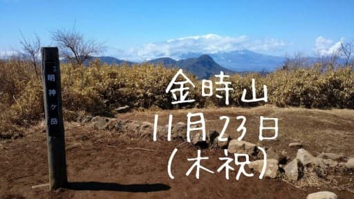 金時山（初心者向け）11/23木祝