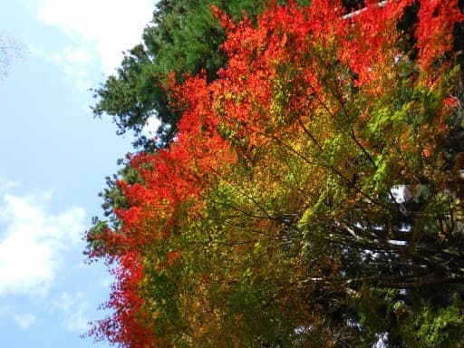 釈迦ヶ岳登山参考画像:2