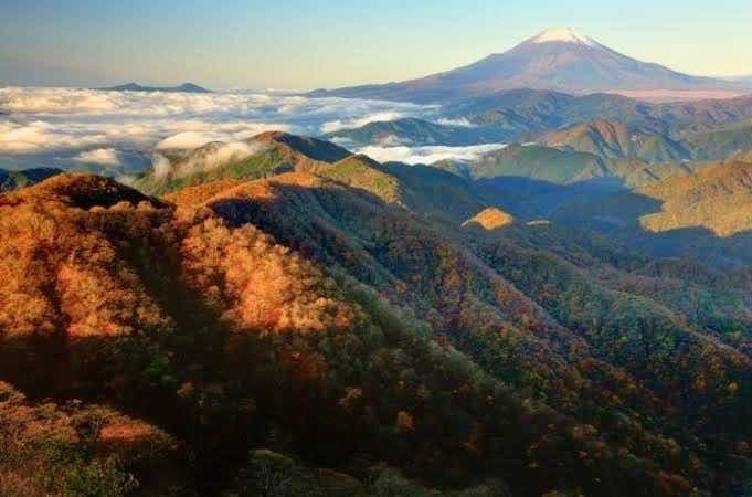 11/4 (土)塔ノ岳/丹沢山参考画像:0