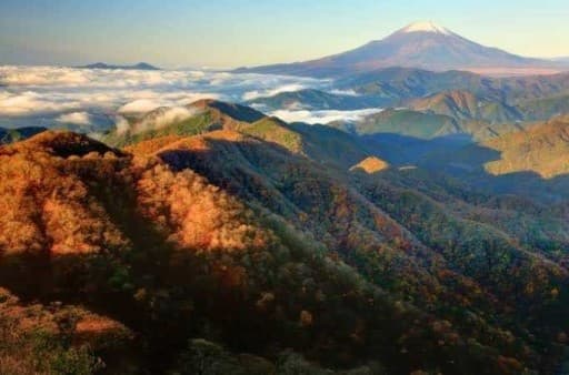 11/4 (土)塔ノ岳/丹沢山