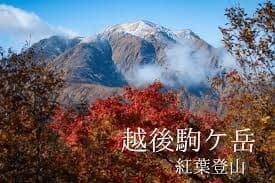 11/3（金・祝）越後駒ヶ岳【前日夜発】