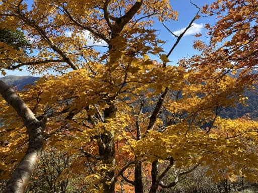 11月8日 御岳山頂駅→大岳山　※女性限定