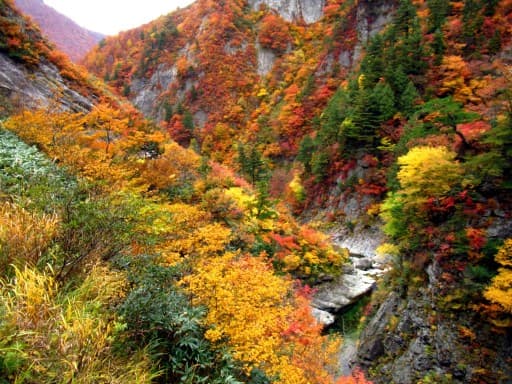 11月3日(祝)近年人気上昇中！紅葉の裏巻機渓谷(ハイキング) 同行者募集【所沢･東所沢発】参考画像:2