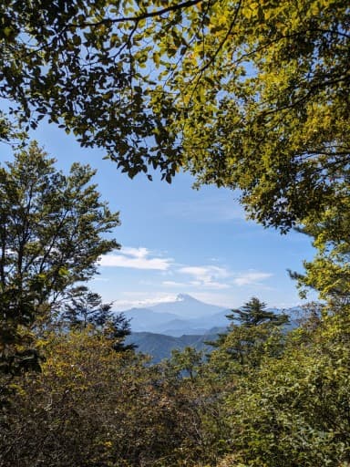 秀麗富獄十二景　高川山976ｍ　～絶景の富士山を眺めて～参考画像:0