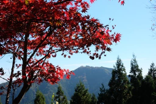 秀麗富獄十二景　高川山976ｍ　～絶景の富士山を眺めて～参考画像:2