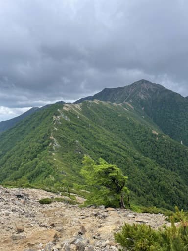 11月24日　大台ヶ原🏔