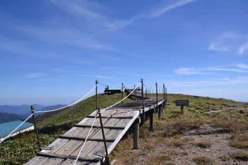 11月23日(祝)大阪駅集合🚗　徳島剣山　二重かずら橋寄り道　日帰り参考画像:1