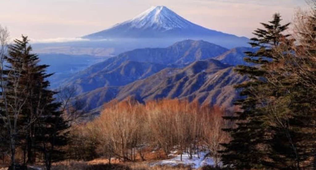 【急募！】11/12(日)雁ヶ腹摺山〜牛奥ノ雁ヶ腹摺山参考画像:0