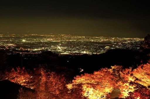 〈募集締め切り〉11/23(祝木)大山紅葉ライトアップ