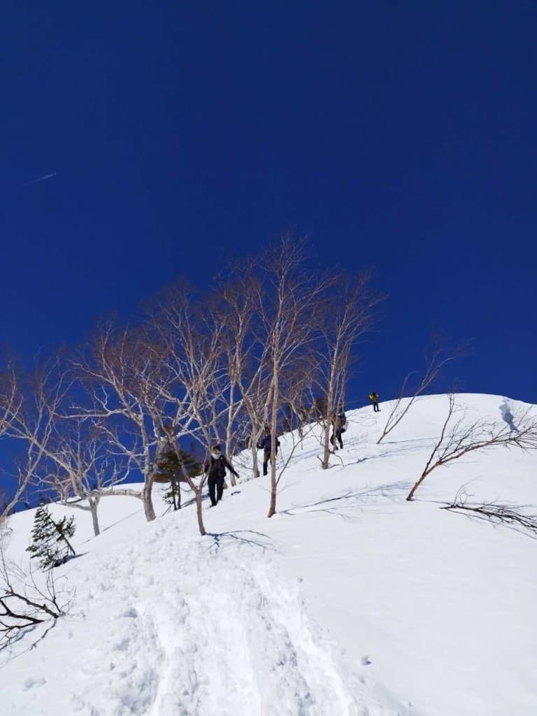 12/17(日)【越前岳】←富士山を撮影しながら宝永山、からの変更参考画像:0