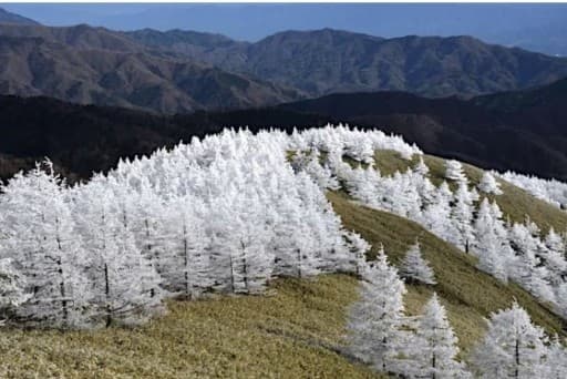 （中止）恵那山山系　南沢山