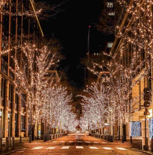 12/16(土)皇居ラン&イルミネーション🎄12/16(土) 14時まで参加受付ます！