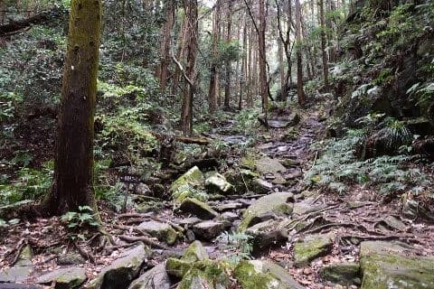 【満員御礼】12/17（日）つくば宝篋山　日帰り参考画像:2