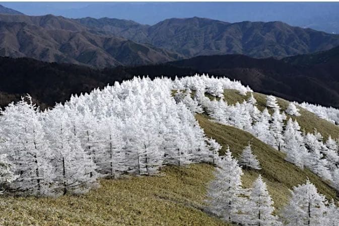 恵那山山系　南沢山参考画像:0