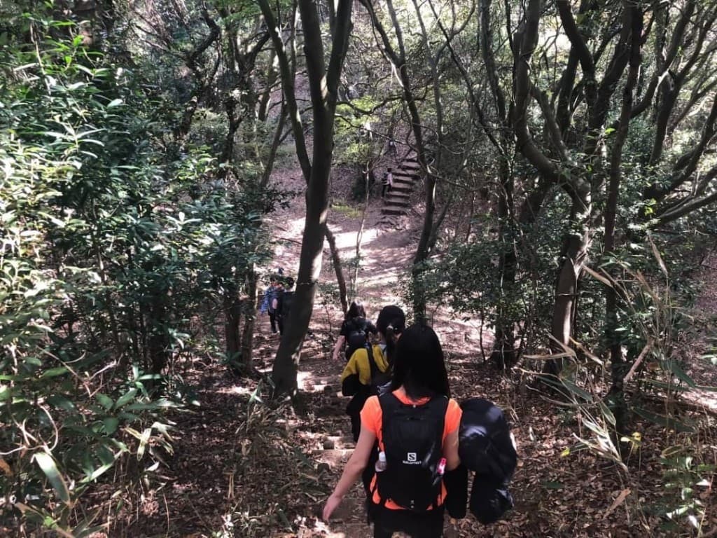 宝篋山12/16（土）同行者募集！参考画像:0