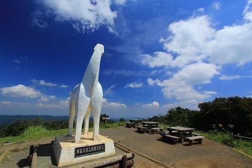 12/17(日) 陣馬山～高尾山縦走　ゆるゆる山行