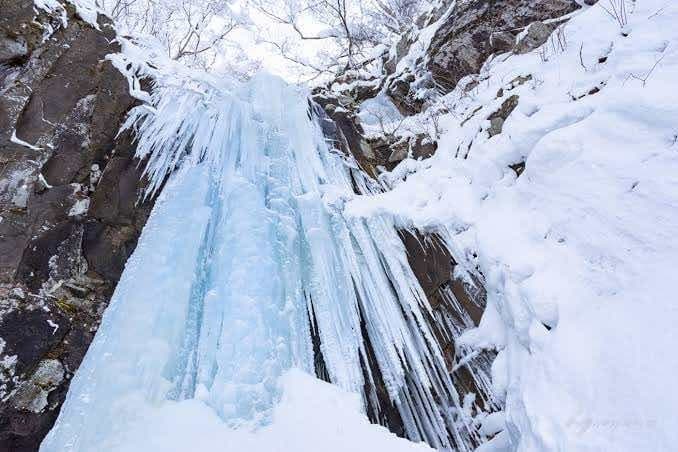 【仙台発】1/21（日）　瀧山（山形県）（氷瀑）参考画像:0