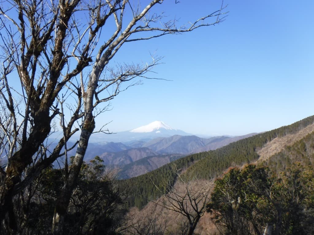 遥かなる絶景！ 丹沢表尾根 木ノ又小屋のランプと暖炉の夕べ1泊2日参考画像:2