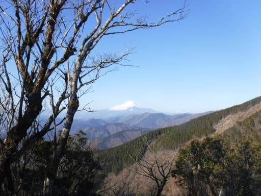 遥かなる絶景！ 丹沢表尾根 木ノ又小屋のランプと暖炉の夕べ1泊2日参考画像:2