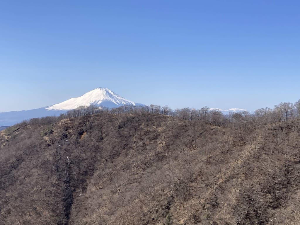 12/20 塔ノ岳参考画像:1