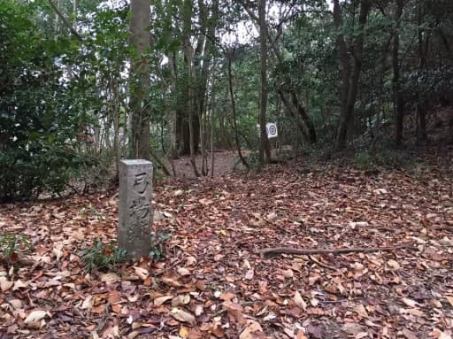 広島県の南アルプス縦走しませんか？🔔🎅クリスマスイブに、雄大な自然と広島の南アルプス