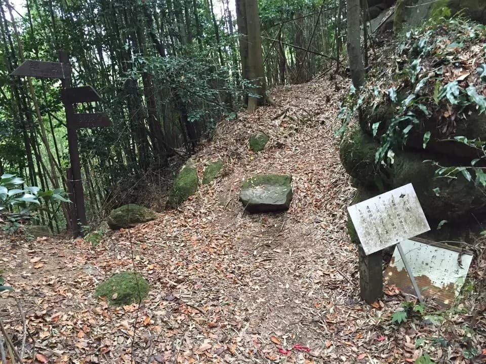 広島県の南アルプス縦走しませんか？🔔🎅クリスマスイブに、雄大な自然と広島の南アルプス参考画像:1