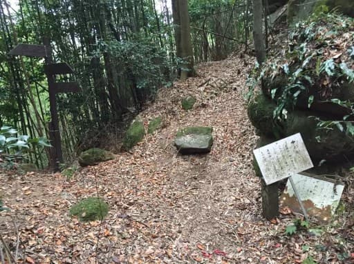 広島県の南アルプス縦走しませんか？🔔🎅クリスマスイブに、雄大な自然と広島の南アルプス参考画像:1