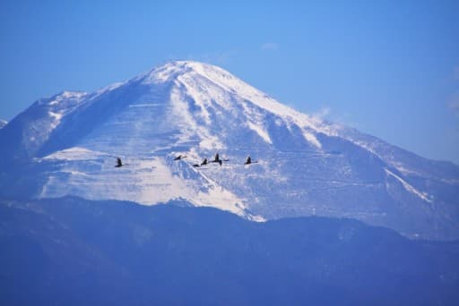 1/2 鈴鹿の山や伊吹山辺り参考画像:2