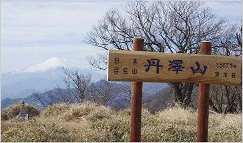 丹沢山 ピストン🏃‍♂️