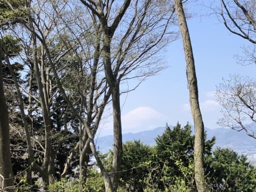 1月21日(日)湘南にのみや　吾妻山ライトハイク