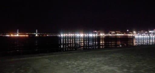 1/10(水)19時15分　横浜みなとみらいラン参考画像:1