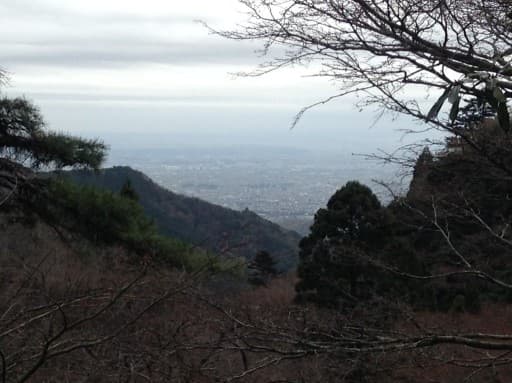 3月20日（水）祝日　大山ハイク（伊勢原駅集合）参考画像:1