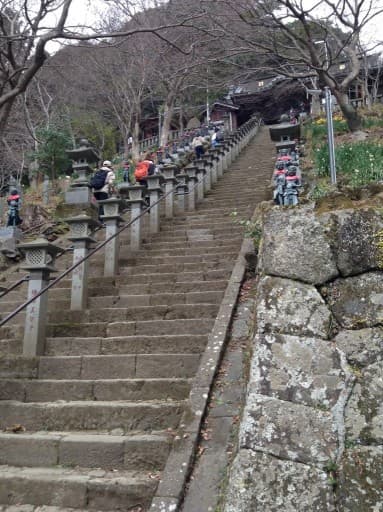 3月20日（水）祝日　大山ハイク（伊勢原駅集合）参考画像:2